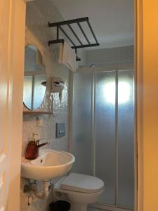 乌尔拉Zu Tiny House Hotel & Restaurant的一间带水槽、卫生间和淋浴的浴室