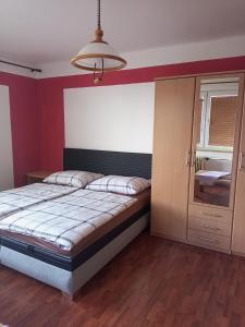 伏尔塔瓦河畔赫卢博卡Ubytování u Jany的一间卧室配有一张大床和一个橱柜