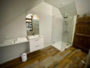 马耶讷Appartement au manoir de la grande vigne Mayenne的带淋浴、盥洗盆和镜子的浴室