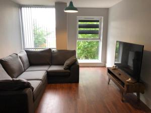 基督城Charming 2-Bed Apartment in Christchurch的带沙发和平面电视的客厅