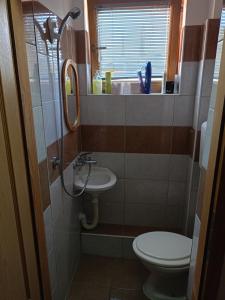 图兹拉Apartment and rooms"Tabašnice"Tuzla centar的一间带卫生间和水槽的浴室