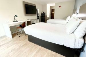 阿林顿阿灵顿戴斯酒店的酒店客房设有两张床、一张桌子和一台电视。