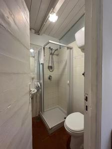 卡普里Depandance Casa Paolina的一间带卫生间、淋浴和卫生间的浴室