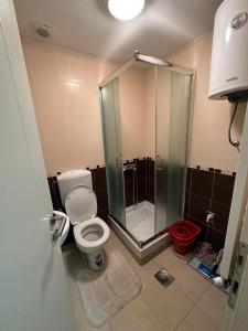 弗尔尼亚奇卡矿泉镇Magma Apartment的带淋浴和卫生间的浴室。