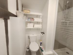 沙朗通勒蓬Cosy Appartement 4P proche 12eme/Vincennes的一间带卫生间和淋浴的小浴室