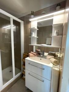 卢贝新城Studio Port Marina的一间带水槽和淋浴的浴室
