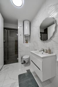 阿然德洛维克Porto lux的一间带水槽、卫生间和镜子的浴室