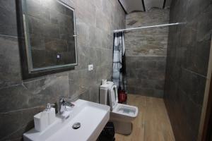 吉诺卡斯特Duplex Apartment KANDILE的一间带水槽和卫生间的浴室
