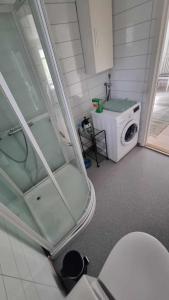 阿尔塔Stengelsen husky的一间带洗衣机和洗衣机的浴室。
