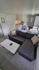 阿尔塔Stengelsen husky的客厅配有沙发和桌子