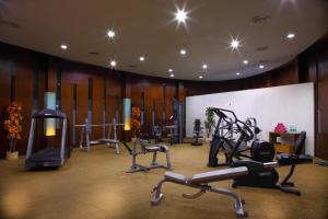 孟买The Mirador Andheri East的一间健身房,里面设有数个健身器材