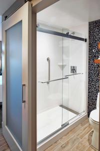马尔伯勒波士顿/马尔伯勒希尔顿花园酒店的带卫生间的浴室内的玻璃淋浴间