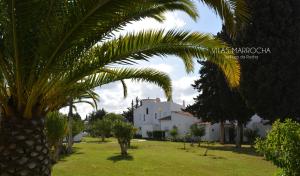 珀彻斯Vilas Marrocha的白色房子前面的棕榈树