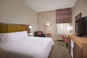 Anthem凤凰城/安顿恒庭酒店的配有一张床和一台平面电视的酒店客房