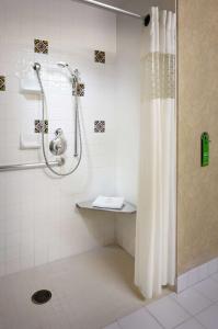 圣地亚哥圣地亚哥/德尔马汉普顿酒店的浴室内配有淋浴帘。