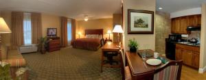 圣安东尼奥圣安东尼奥北希尔顿霍姆伍德套房酒店的酒店客房设有床和客厅。