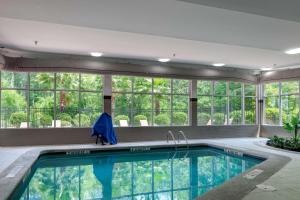 萨凡纳萨凡纳机场希尔顿逸林酒店的窗户房子中的游泳池