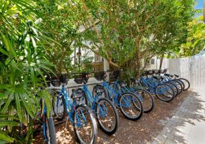 基韦斯特格兰德住宿加早餐旅馆的停在围栏旁边的一排蓝色自行车