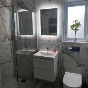 诺丁汉Entire home in Nottingham的一间带水槽和卫生间的浴室以及两个窗户。