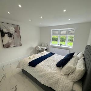 诺丁汉Entire home in Nottingham的一间卧室配有一张带蓝色枕头的大床