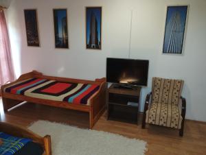 拜赖焦新村Liget Szálláshely的客厅配有床、电视和椅子