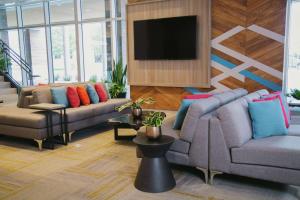 弗雷德里克顿Hilton Garden Inn Fredericton的客厅配有2张沙发和1台平面电视