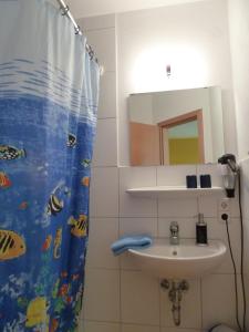 诺伊基希泽姆赫希酒店的一间带水槽和淋浴帘的浴室
