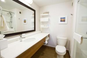 里士满温哥华机场/里奇蒙汉普顿酒店的一间带水槽、卫生间和镜子的浴室