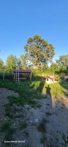 弗格拉什LukAmi Green Home的田野中带长凳和小棚的公园