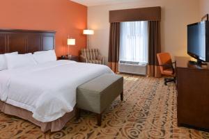 奥卡拉汉普顿酒店及套房 - 奥卡拉的配有一张床和一台平面电视的酒店客房