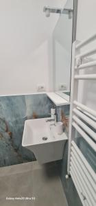 弗格拉什LukAmi Green Home的白色的浴室设有水槽和冰箱。