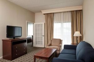劳雷尔山希尔顿逸林月桂树山套房酒店的客厅配有蓝色的沙发和电视