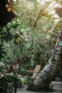 图卢姆Hostel Oryx Tulum的花园里的棕榈树和椅子