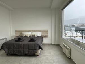 乌斯怀亚Jainen Apartamentos的一间卧室设有一张床和一个大窗户