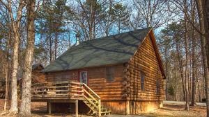 GordonsvilleShenandoah Wilderness Traveler的树林中间的小木屋