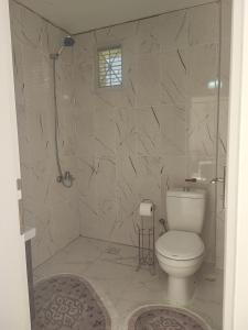 特拉布宗Hamsiköy Merkez Daire的浴室配有白色卫生间和淋浴。