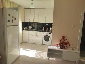 特拉布宗Hamsiköy Merkez Daire的厨房配有白色冰箱和洗衣机。