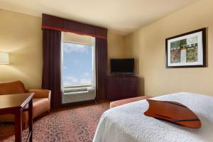 米申米申汉普顿酒店及套房的酒店的客房 - 带一张床、椅子和窗户