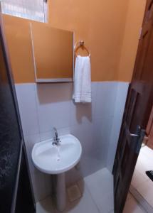阿尔特杜尚Caju Hostel的浴室设有白色水槽和镜子