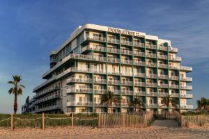 大洋城海洋城海滨希尔顿逸林酒店 的海滩上酒店前面有棕榈树