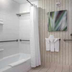 岩石丘希尔顿花园石山酒店的带浴缸的浴室和墙上的电视