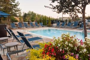 奥古斯塔希尔顿 汉普顿酒店及套房 - 奥古斯塔华盛顿路的一个带躺椅和鲜花的游泳池
