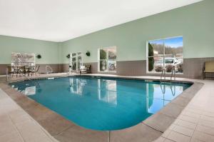 雅典阿森斯汉普顿酒店 的在酒店房间的一个大型游泳池