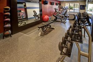 库克维尔库克维尔汉普顿酒店的健身房设有数台跑步机和镜子