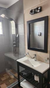 卡法亚特DEPARTAMENTOS CIELO DE CAFAYATE的一间带水槽和镜子的浴室