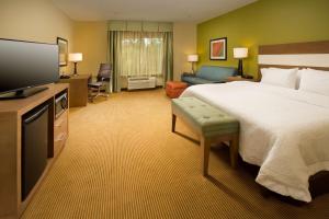 查尔斯湖查尔斯湖汉普顿宾馆的配有一张床和一台平面电视的酒店客房