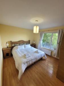 埃尔卡拉法特Casa Lago Argentino的一间卧室设有一张大床和一个窗户。