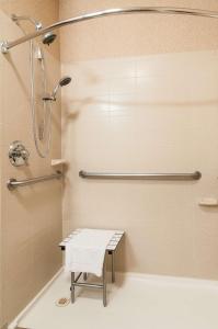 博伊西博伊西 - 机场汉普顿酒店的带淋浴的浴室和长凳