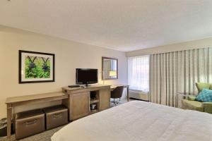 列治文山萨凡纳I-95/里奇满山希尔顿恒庭酒店的酒店客房配有一张床和一张书桌及一台电视