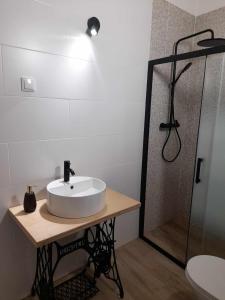 阿尔奇瓦Alqueive GUEST HOUSE的一间带水槽和淋浴的浴室